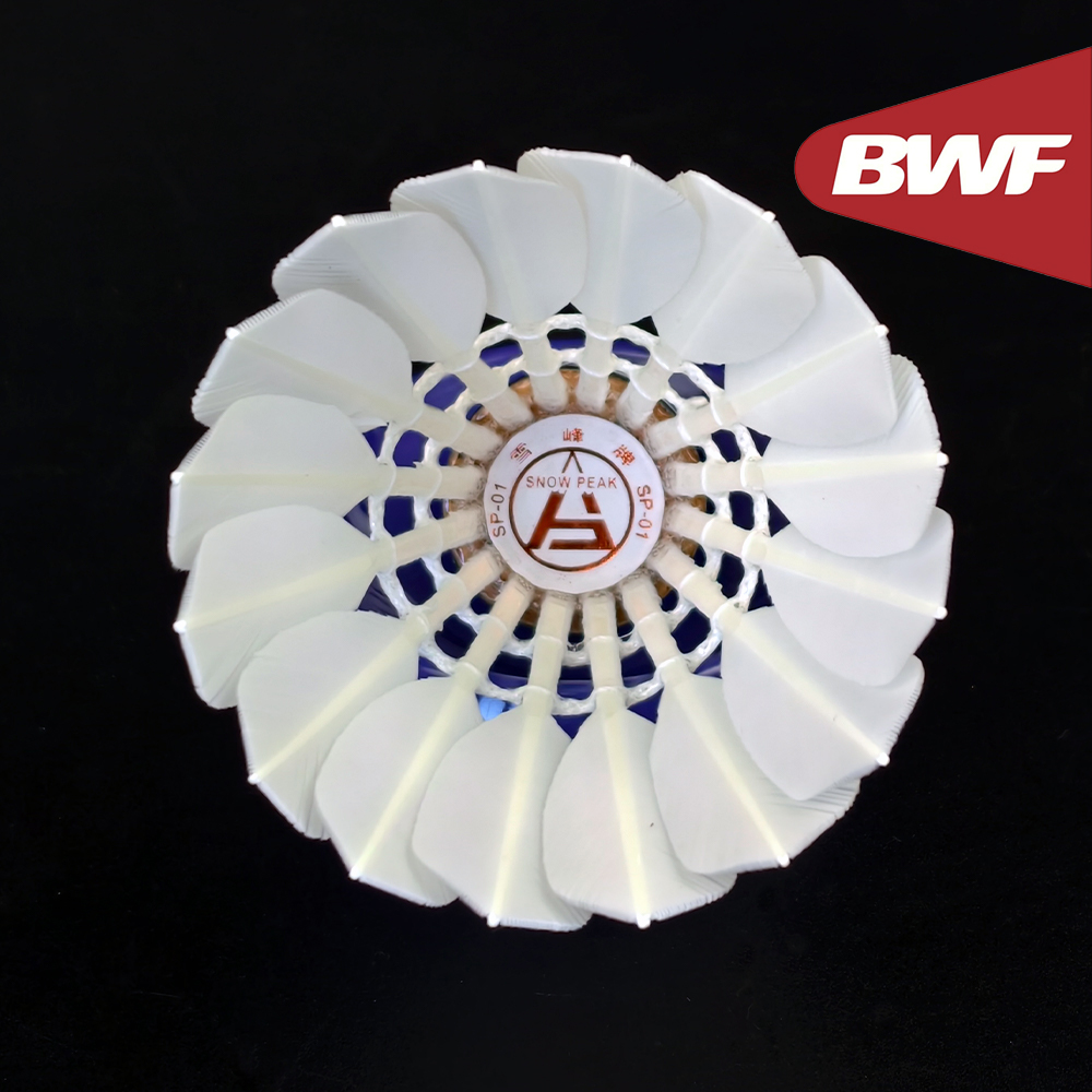 SP-01 Professional Tournament  - Badminton Bwf 评论和价格